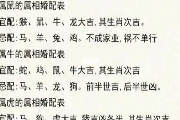 台湾十二生肖算命,十二生肖配对算命