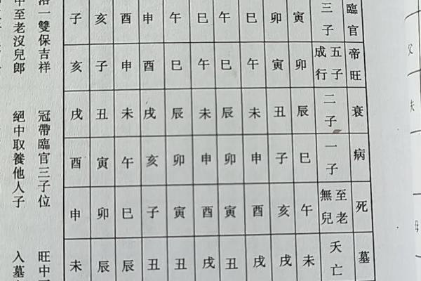 八字命理是看子女的吗