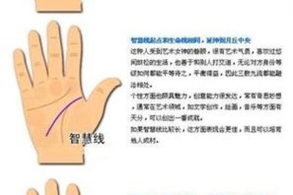 怎样看手相算命,如何学会看手相算命