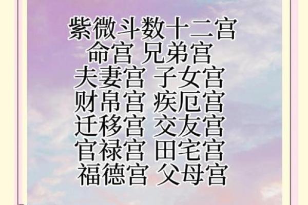 紫薇斗数命格