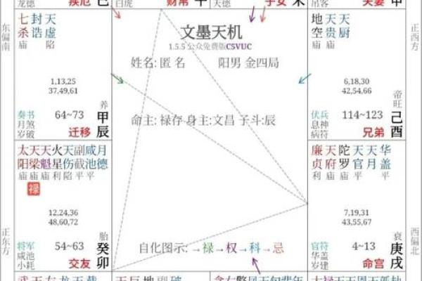 紫薇斗数格局很好