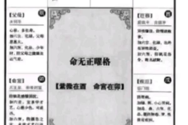 庄式紫薇斗数排盘