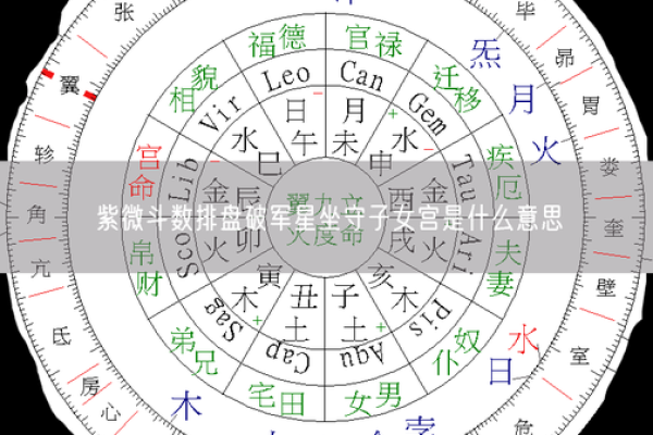 紫薇斗数中的坐守是什么