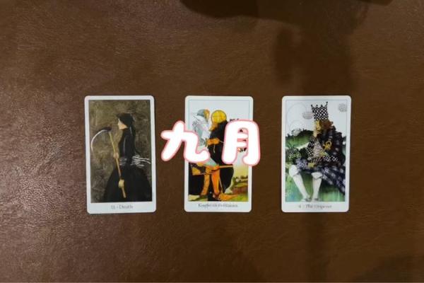 塔罗测试：九月健康运？