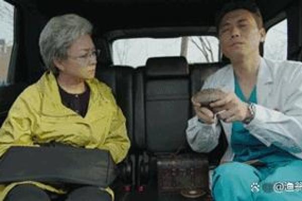 算命为什么要找人