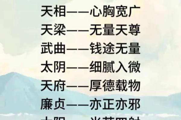 紫微斗数十四主星：天相星概论