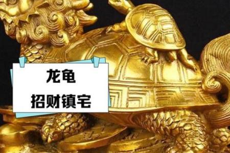 风水龙龟有什么作用的摆放方法及禁忌