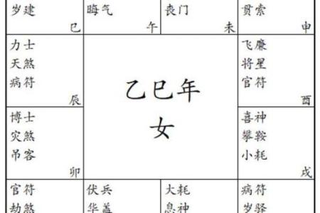 紫薇斗数的小限指的什么
