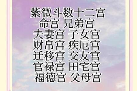 紫薇斗数命格