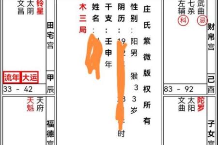 紫薇斗数什么星是大老婆命