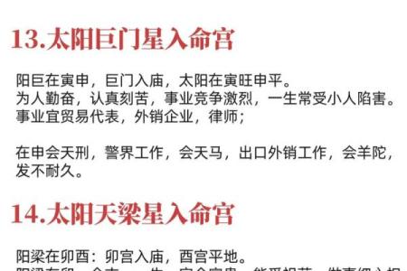 子由紫薇斗数