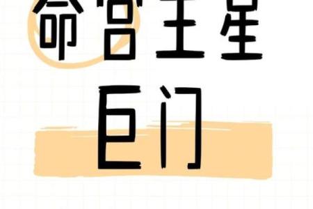 善良的紫薇斗数