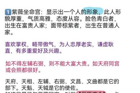 紫微斗数术语解释之：星曜的简称