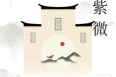 庄式紫薇斗数排盘
