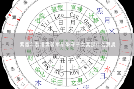 紫薇斗数中的坐守是什么