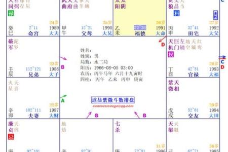 紫薇斗数看命运