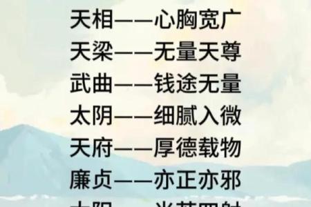 紫微斗数十四主星：天相星概论