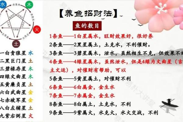 十个数字，揭示易经风水、命理八字等术数的本质奥秘！_1