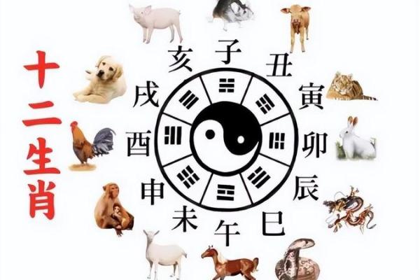 生辰八字走背运