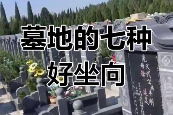 选墓地如何看最佳风水