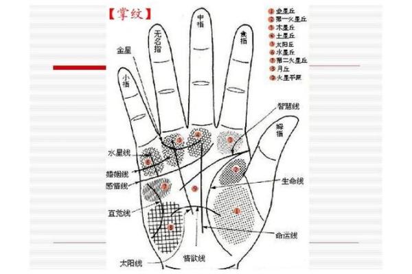 手纹算命图解 财富手纹解读