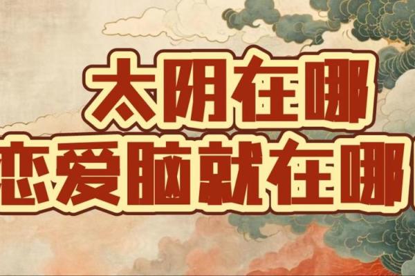 紫薇斗数太阴视频