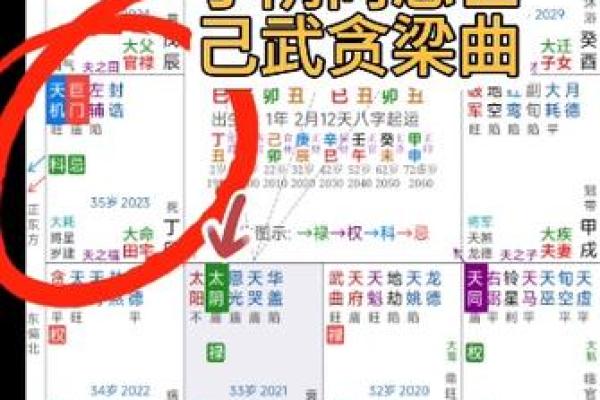 紫薇斗数禁忌