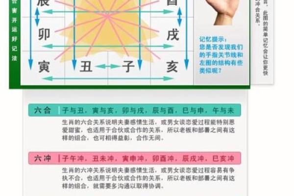 八字基础之(六冲、六害)