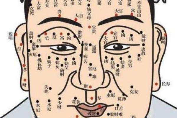 风水脸部哪里的痣不能点眉毛的痣