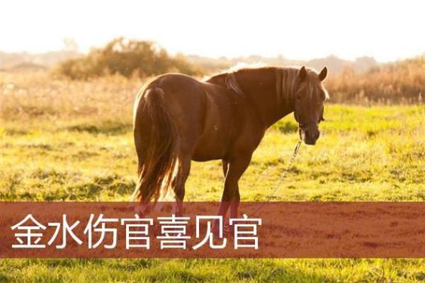 八字喜伤官