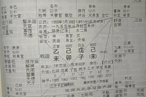 紫薇斗数梅花易数