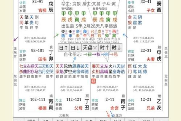 神巴巴紫薇斗数下载