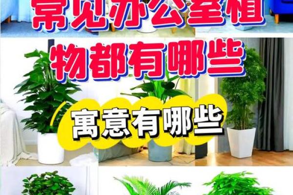 办公室风水十大禁忌须知不利财运