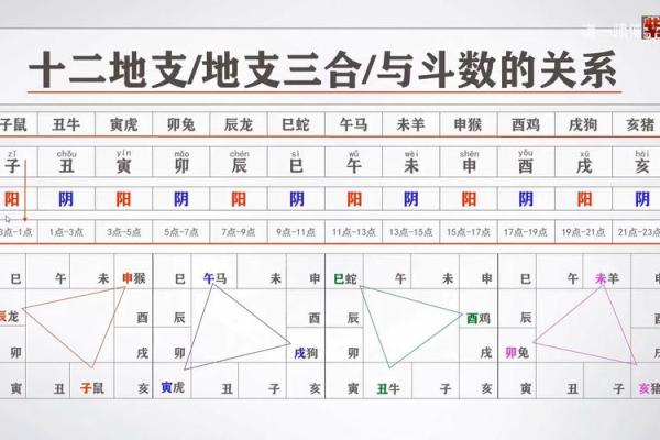 周易和紫薇斗数