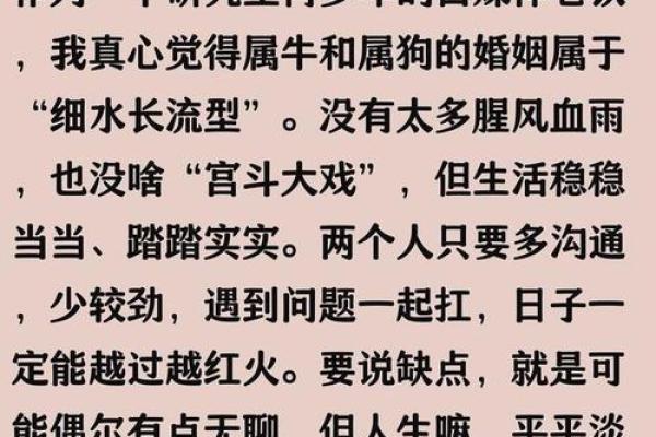 牛年生肖算命揭秘你的命运