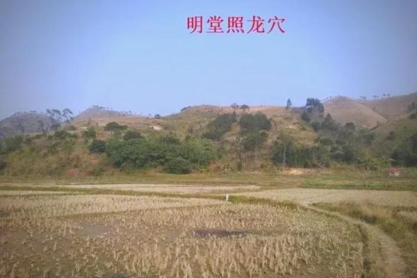 不利于后代运势的坟墓风水