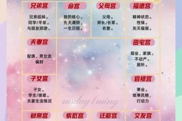 紫薇斗数男命主要看什么宫位