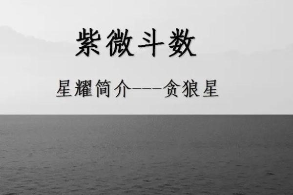 姜子牙紫薇斗数