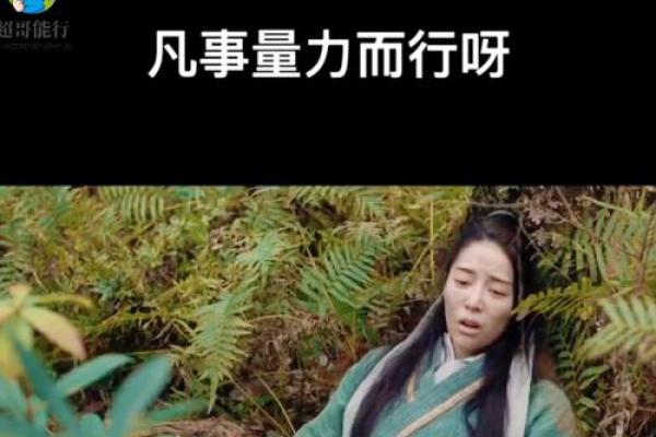 如何留住好风水？凡事量力而行
