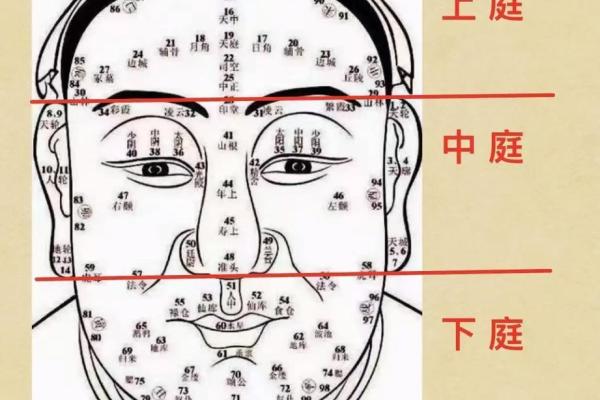 面相风水鼻头大的男人好不好是长寿命吗