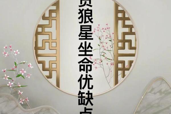 紫薇斗数迁移宫贪狼