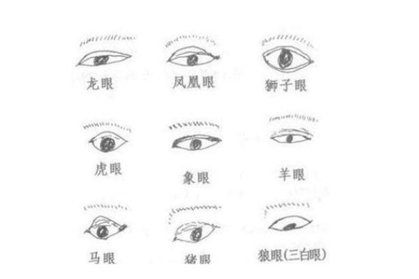 眼皮看面相算命