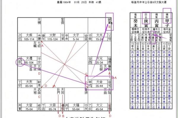紫薇斗数星盘名称