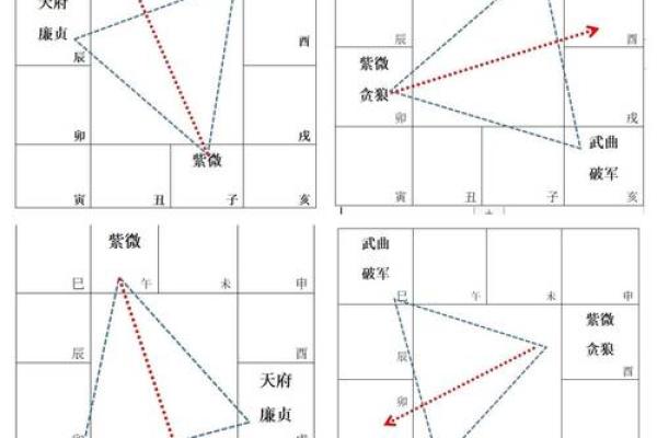 紫微斗数密宗 紫微斗数密宗星法？
