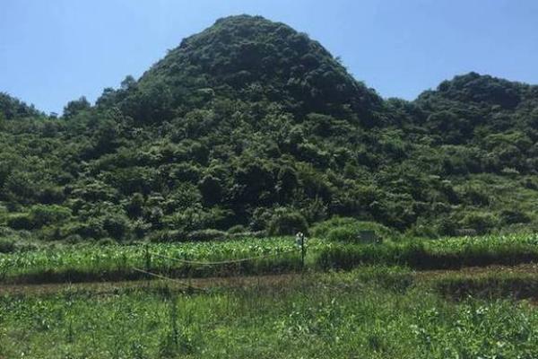 发横财的风水宝地：成一方富室