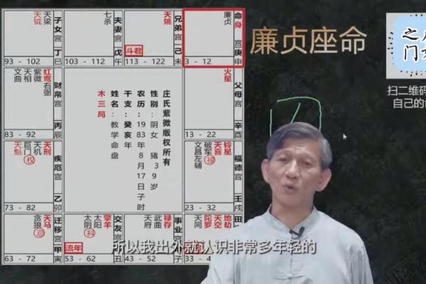 廉贞星坐守官禄宫紫微斗数大成