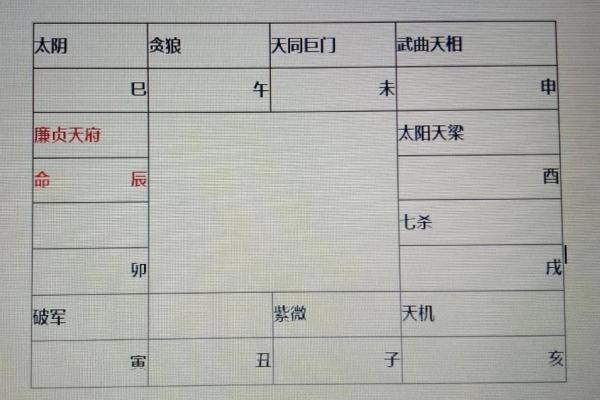 廉贞星坐守官禄宫紫微斗数大成