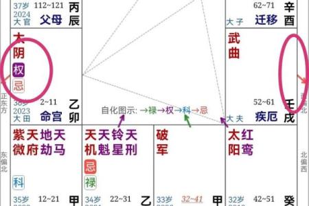 紫薇斗数的命盘如何抑