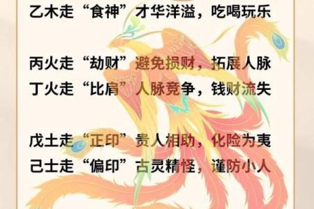 算命的术语,算命专用术语