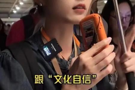 紫薇斗数王钰